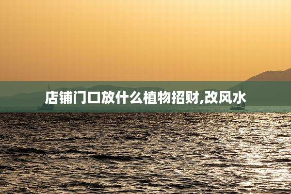 店铺门口放什么植物招财,改风水