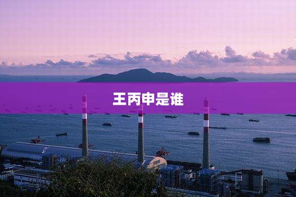 王丙申是谁