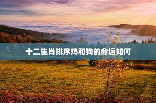 十二生肖排序鸡和狗的命运如何