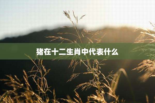 猪在十二生肖中代表什么