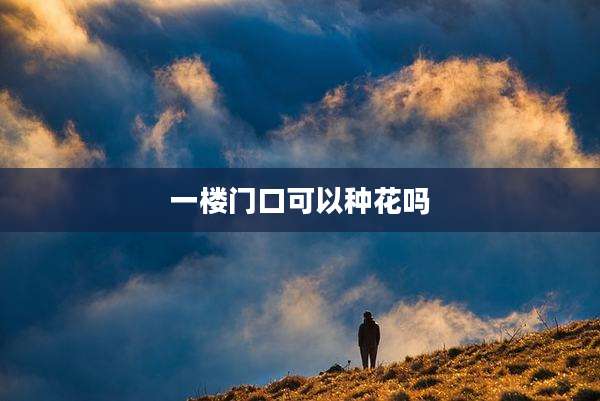 一楼门口可以种花吗