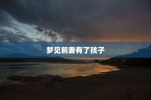 梦见前妻有了孩子