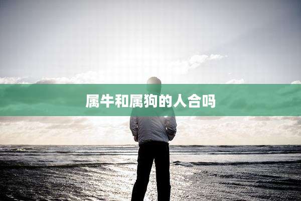 属牛和属狗的人合吗