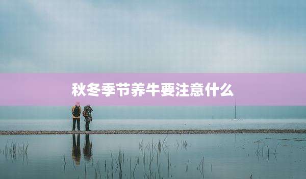 秋冬季节养牛要注意什么