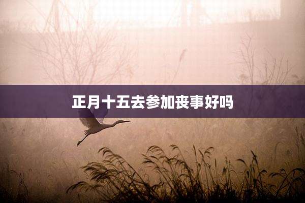 正月十五去参加丧事好吗