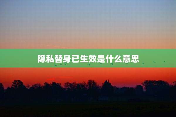 隐私替身已生效是什么意思