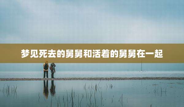 梦见死去的舅舅和活着的舅舅在一起