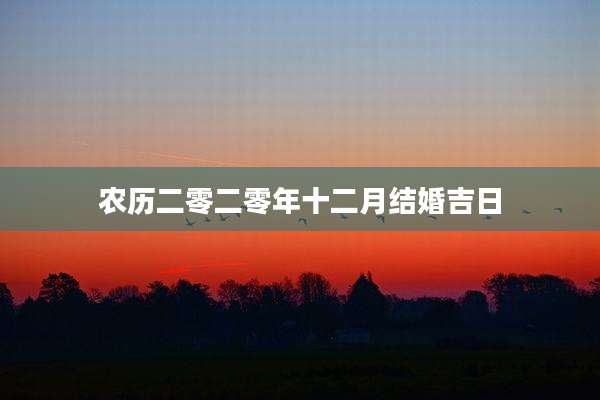 农历二零二零年十二月结婚吉日