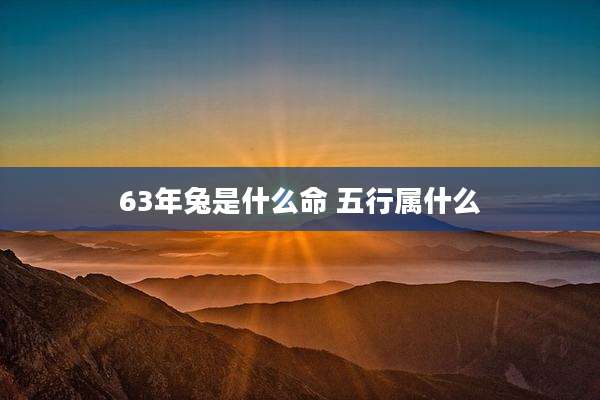 63年兔是什么命 五行属什么
