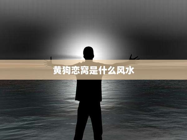 黄狗恋窝是什么风水