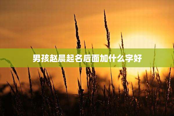 男孩赵晨起名后面加什么字好