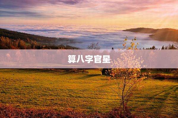 算八字官星
