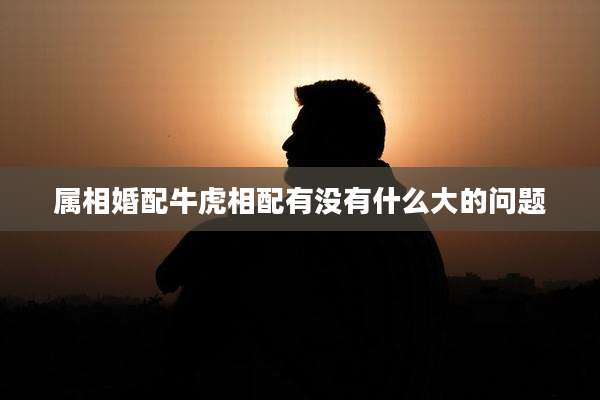属相婚配牛虎相配有没有什么大的问题