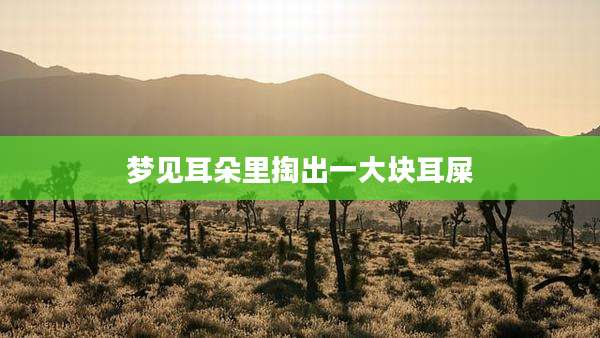 梦见耳朵里掏出一大块耳屎