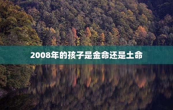 2008年的孩子是金命还是土命