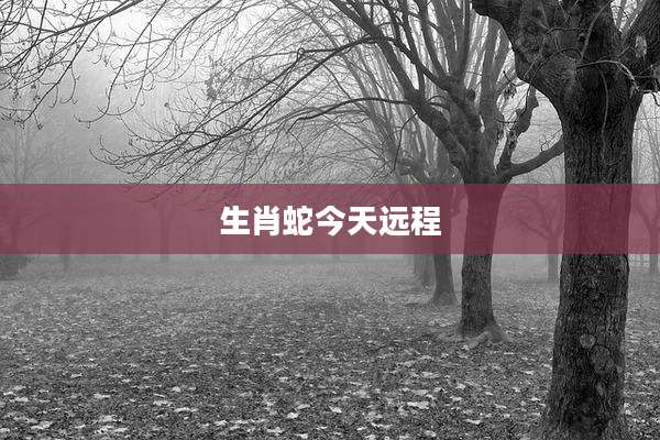 生肖蛇今天远程