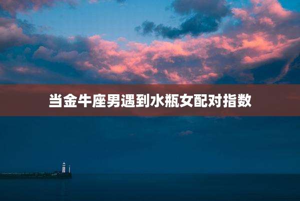 当金牛座男遇到水瓶女配对指数