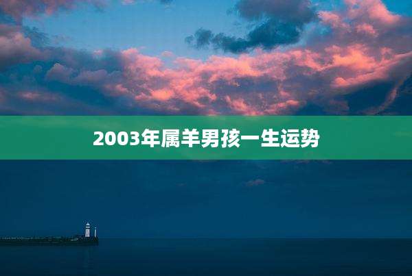 2003年属羊男孩一生运势