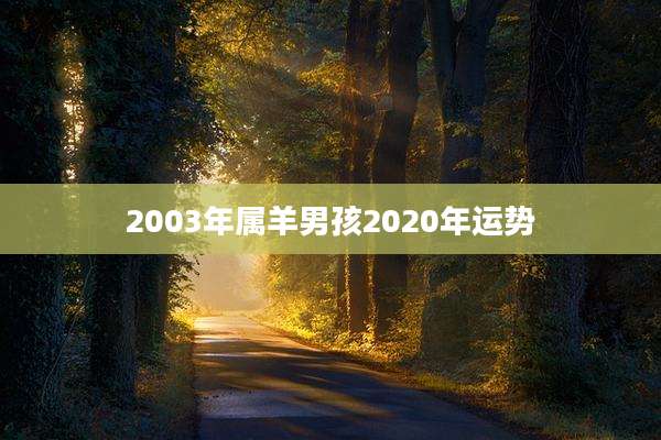 2003年属羊男孩2020年运势