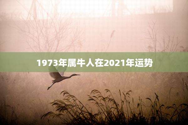 1973年属牛人在2021年运势