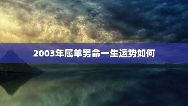 2003年属羊男命一生运势如何