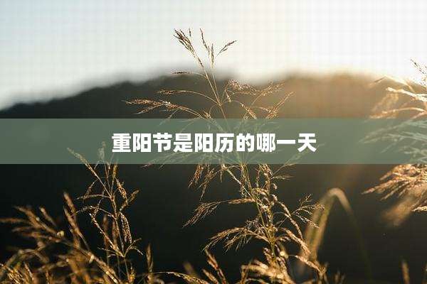 重阳节是阳历的哪一天