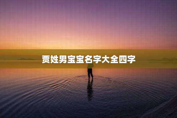 贾姓男宝宝名字大全四字