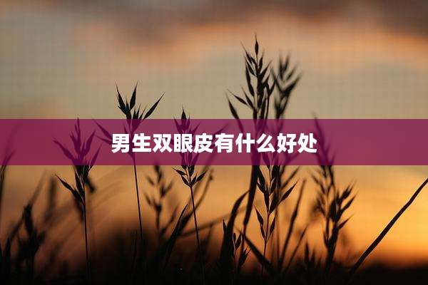 男生双眼皮有什么好处