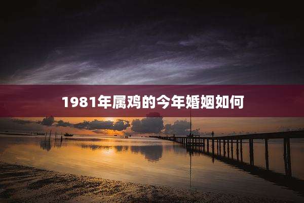 1981年属鸡的今年婚姻如何