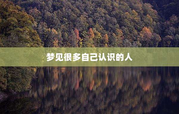 梦见很多自己认识的人