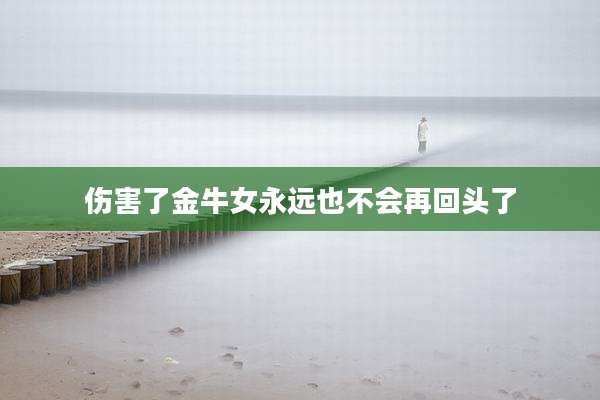 伤害了金牛女永远也不会再回头了
