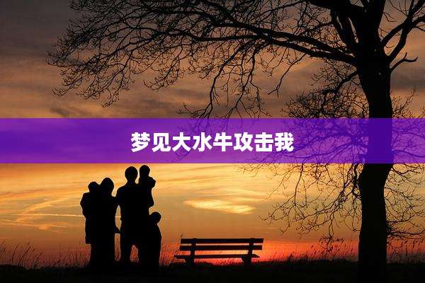 梦见大水牛攻击我