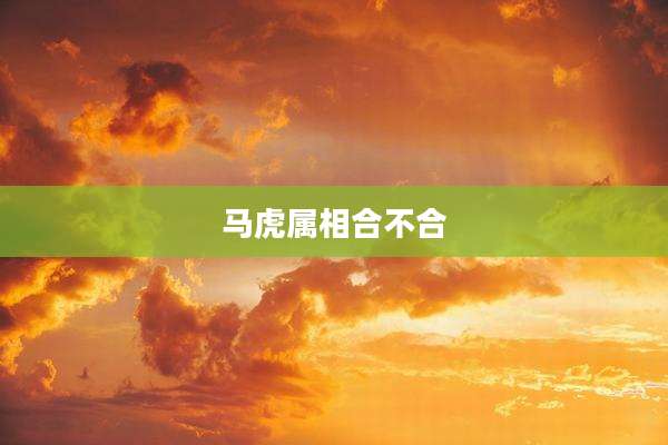 马虎属相合不合