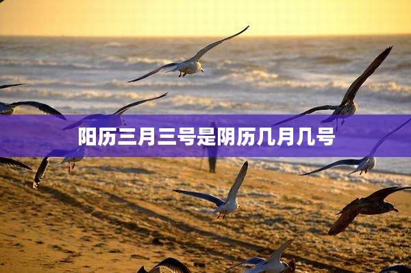 阳历三月三号是阴历几月几号