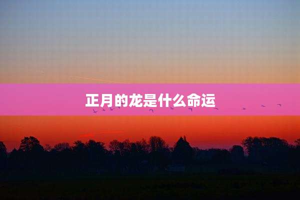 正月的龙是什么命运