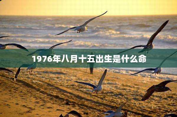 1976年八月十五出生是什么命