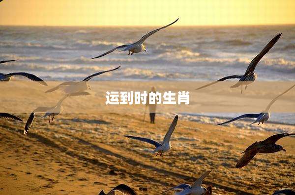 运到时的生肖