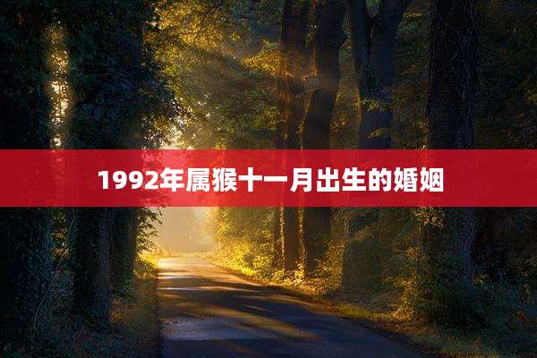 1992年属猴十一月出生的婚姻
