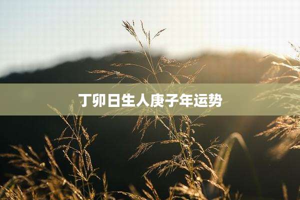 丁卯日生人庚子年运势