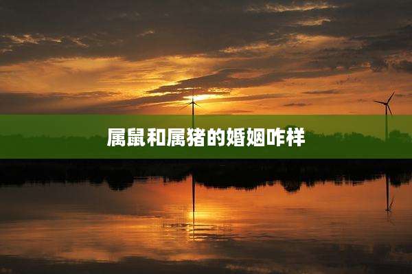 属鼠和属猪的婚姻咋样