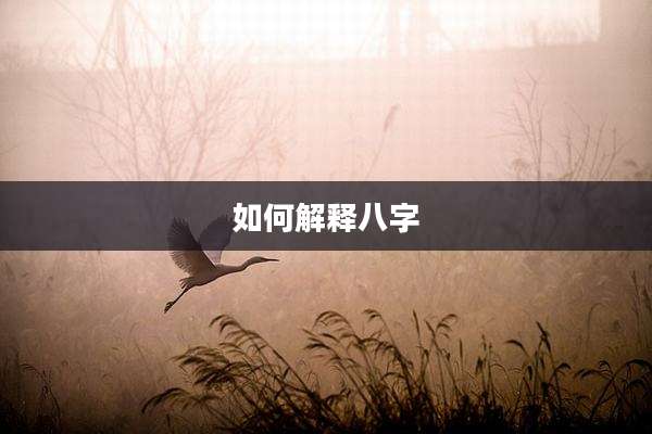 如何解释八字