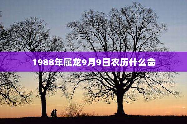 1988年属龙9月9日农历什么命