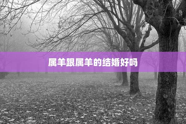 属羊跟属羊的结婚好吗