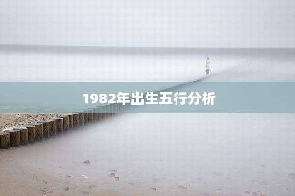 1982年出生五行分析