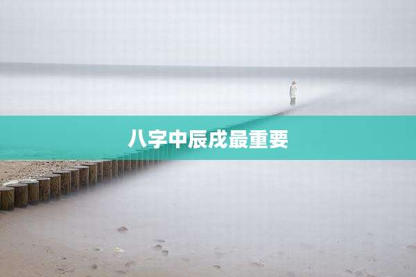 八字中辰戌最重要