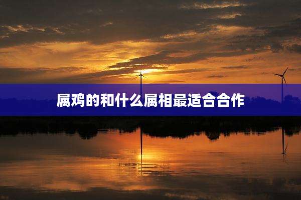 属鸡的和什么属相最适合合作