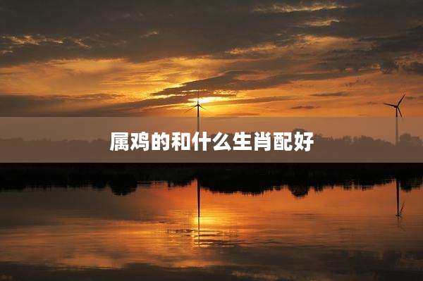 属鸡的和什么生肖配好