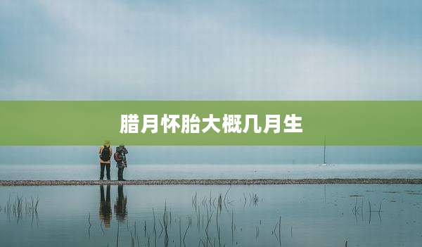 腊月怀胎大概几月生