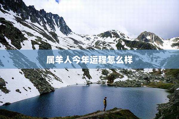 属羊人今年运程怎么样