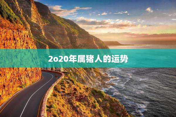 2o20年属猪人的运势